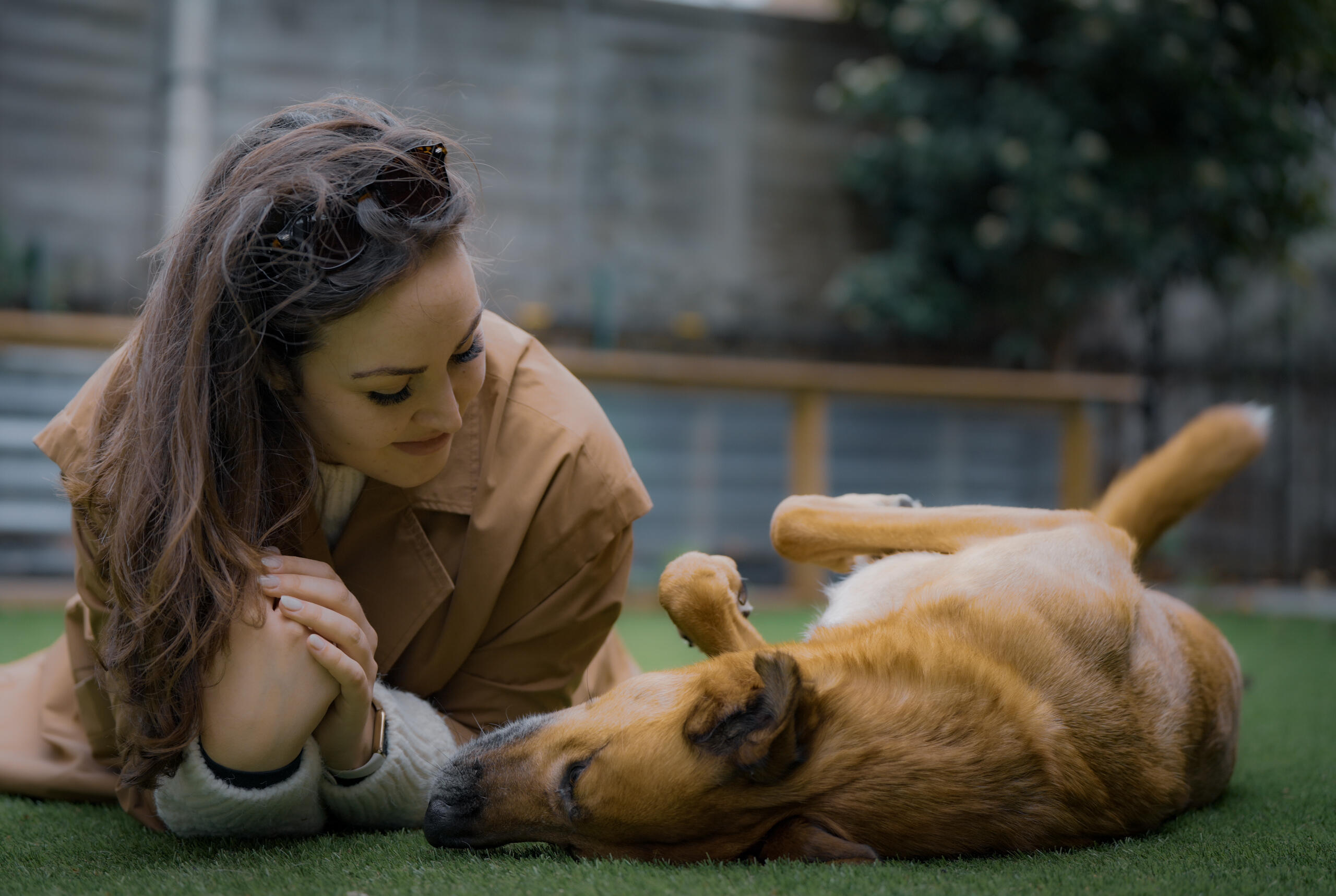 woman and dog playing on grass together
